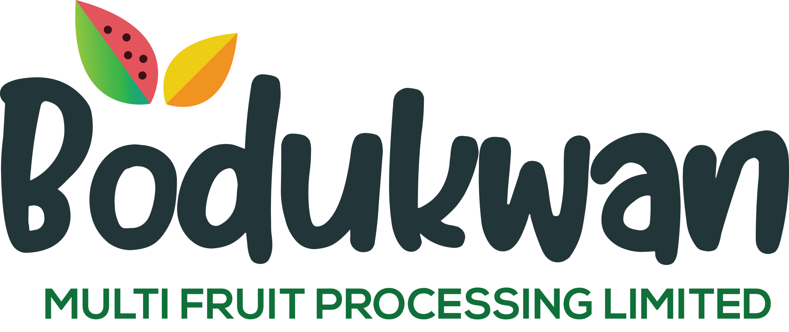 Bodukwan Multi fruit Factory