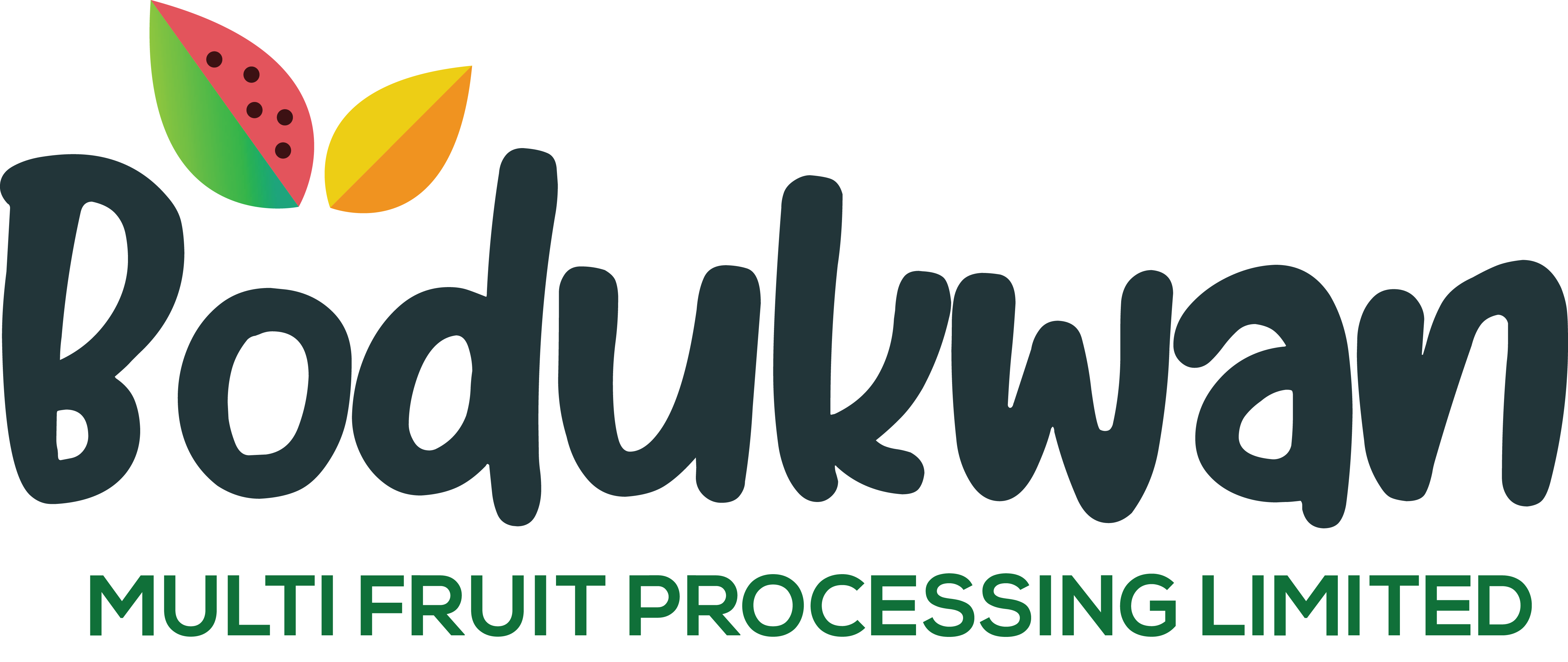 Bodukwan Multi fruit Factory