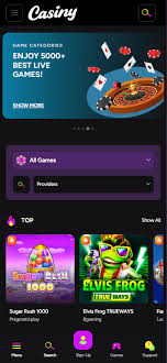 Experience the Thrill of Games at Casiny Casino 7
